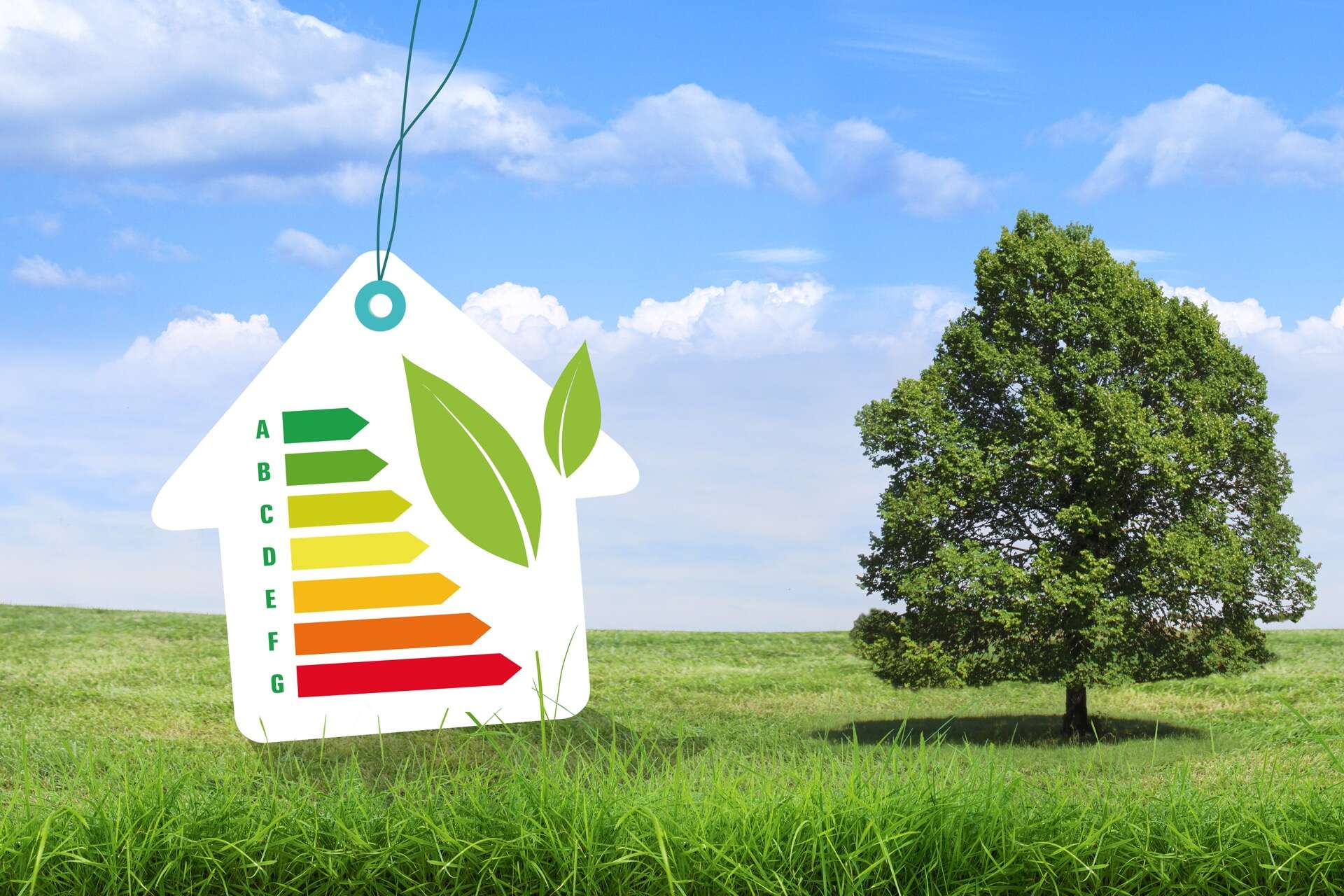 Schéma du diagnostic de performance énergétique qui doit être produit dans une vente immobilière